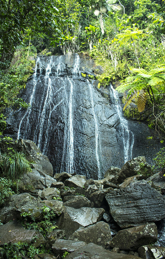 Coco Falls - El Yunque Photograph by Ben Tucker - Fine Art America