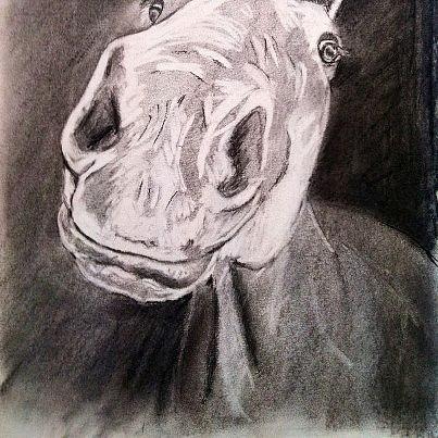 Horse Mixed Media - Coco by Rachel Dubber Horse Mixed Media - Coco by Rachel Dubber