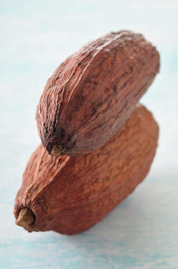 Cocoa Beans Photograph by Riou