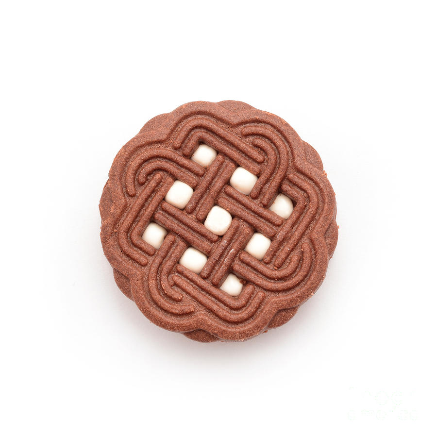 Cocoa Biscuit Photograph