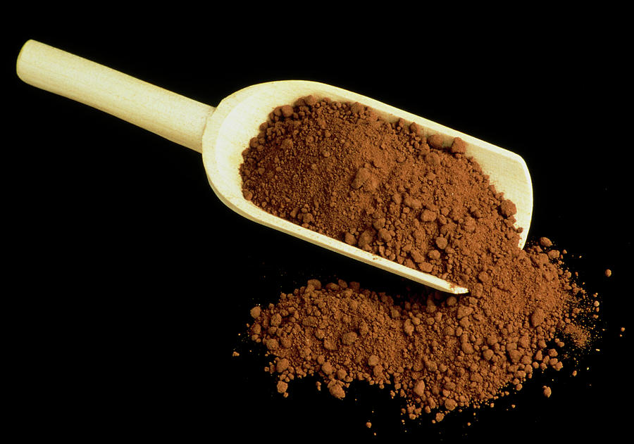 Still Life Photograph - Cocoa Powder by Th Foto-werbung/science Photo Library
