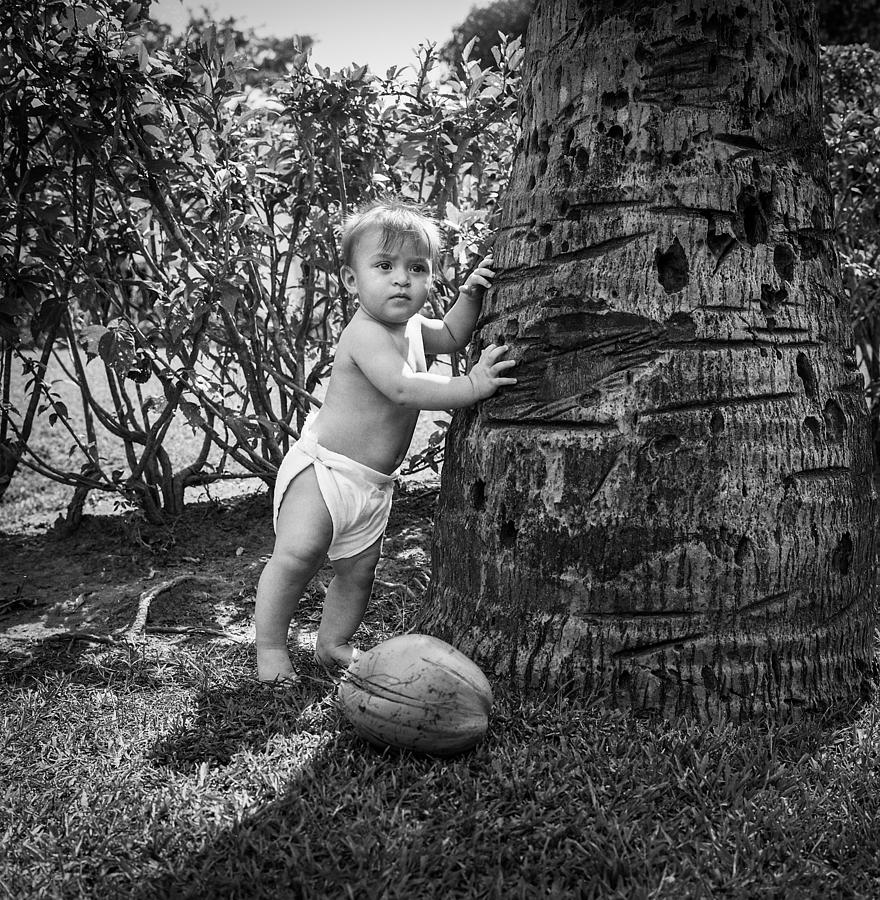 Coconut Baby Photograph by Ray Congrove
