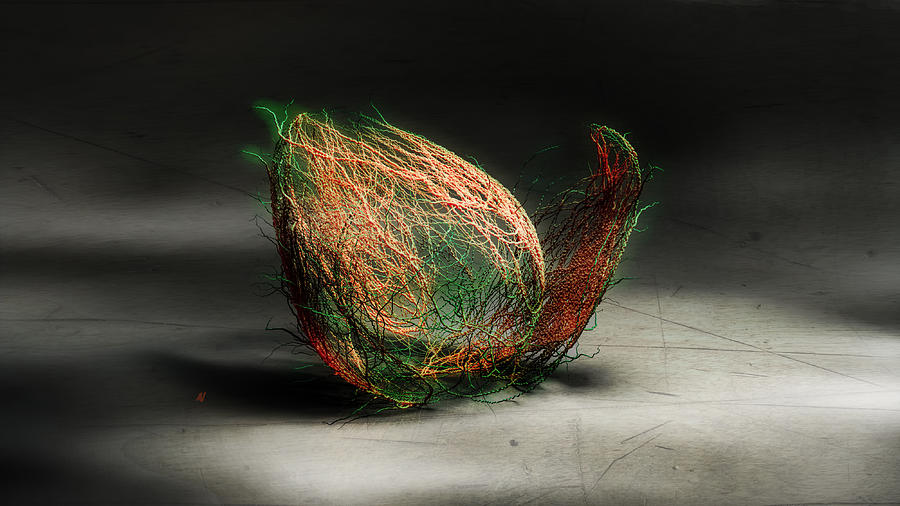 Coconut or Egg Digital Art by Adam Vance
