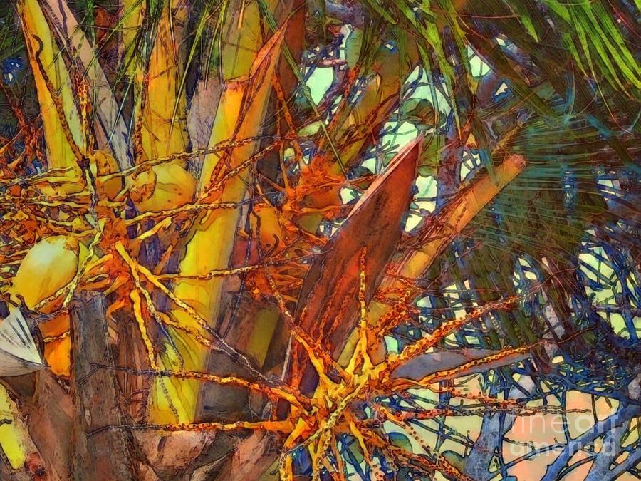 H Coconut Palm Close Up - Horizontal Digital Art by Lyn Voytershark