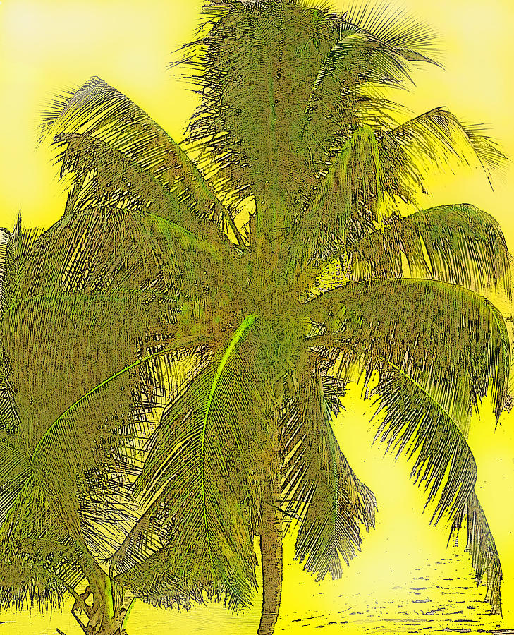 Coconut Palm Digital Art by Ian  MacDonald
