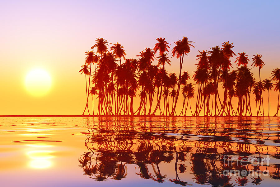 Coconut Palms At Sunset Photograph by Aleksey Tugolukov