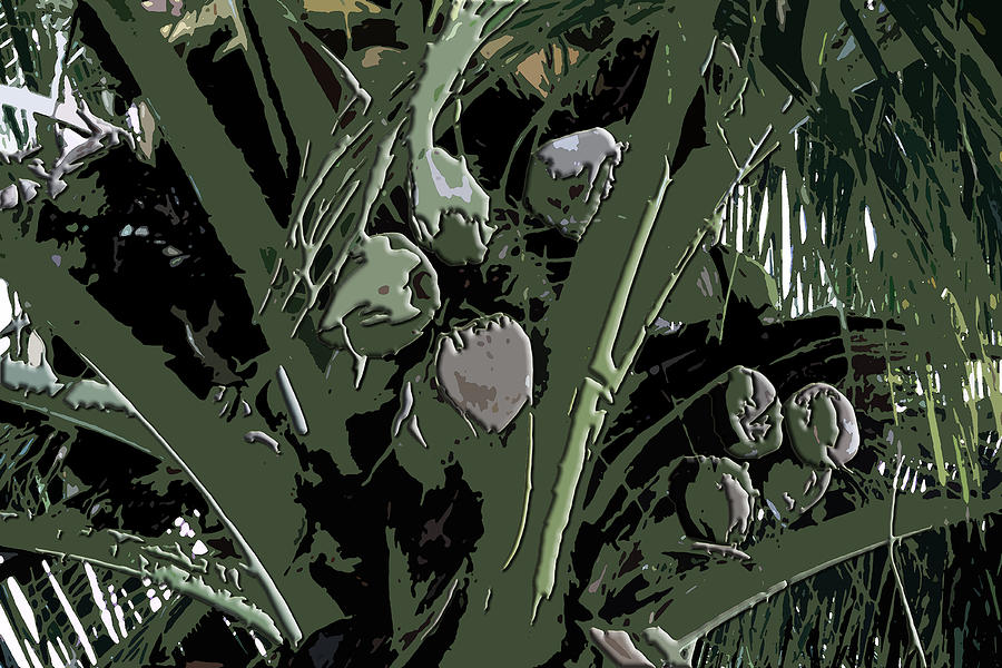 Coconut Palms Digital Art by Karen Nicholson