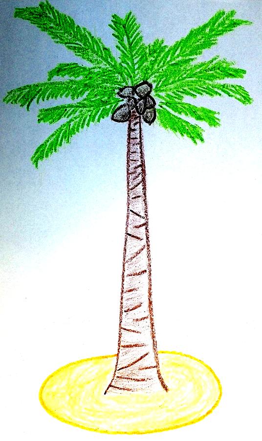 Coconut Tree Drawing by Henrich Horvath Pixels