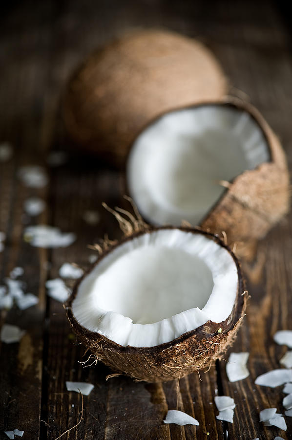 Coconut Photograph by Verdina Anna