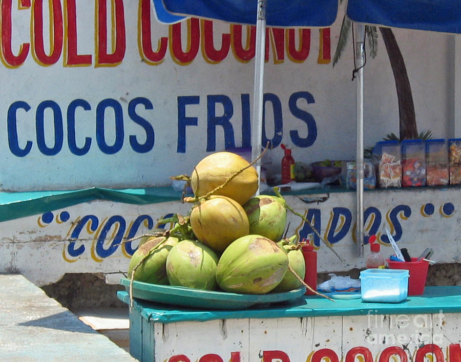 Coconuts - Mazatlan Photograph by Cheryl Del Toro