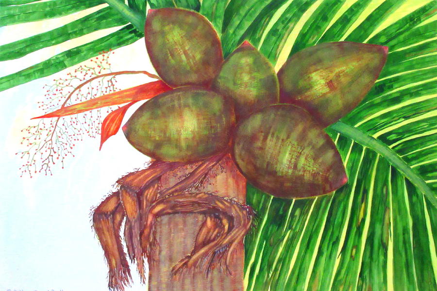 Coconuts At Kahlua Beach Club Painting by Ashley Goforth