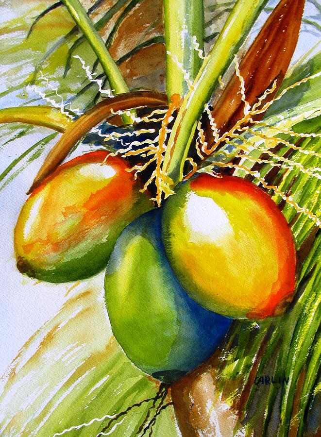 Coconuts Painting by Carlin Blahnik CarlinArtWatercolor