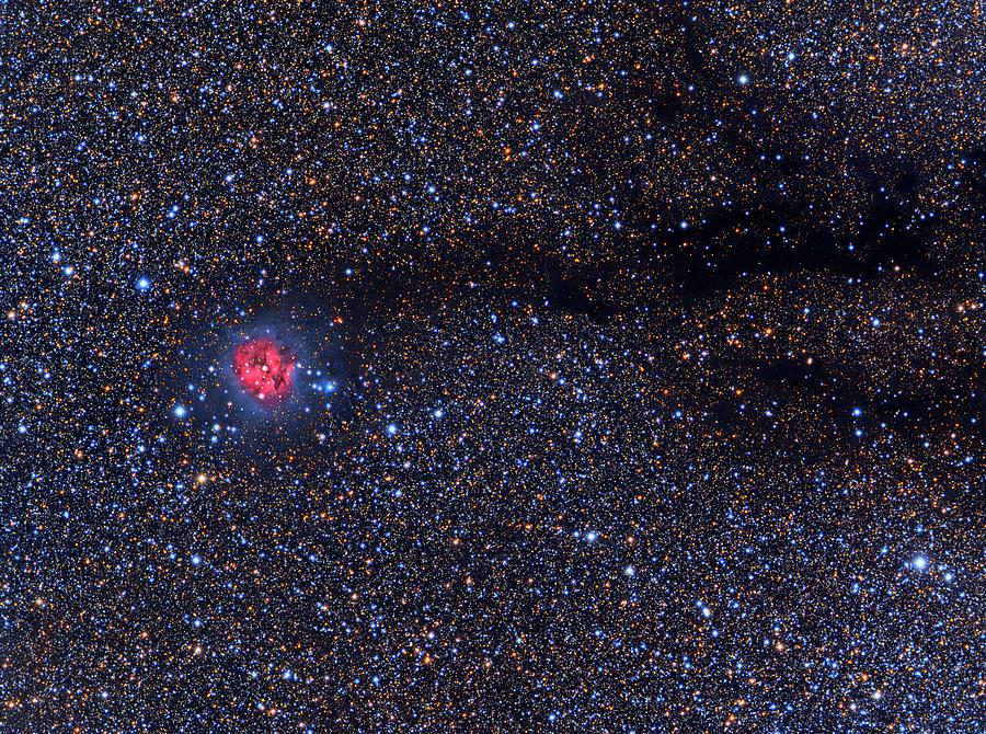 Cocoon Nebula Photograph by Tony & Daphne Hallas.