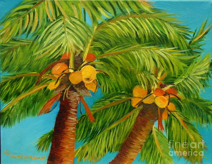 Cocos In The Keys - Key West Palm Tree with Coconuts Painting by Shelia Kempf