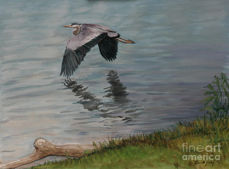 Codorus Great Blue Heron Painting by Charlotte Yealey
