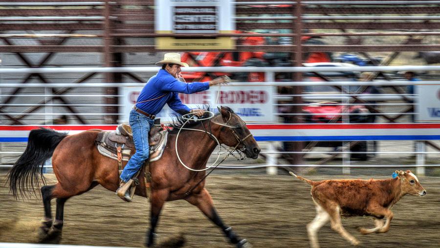 Cody Rodeo Photograph by Paul James Bannerman