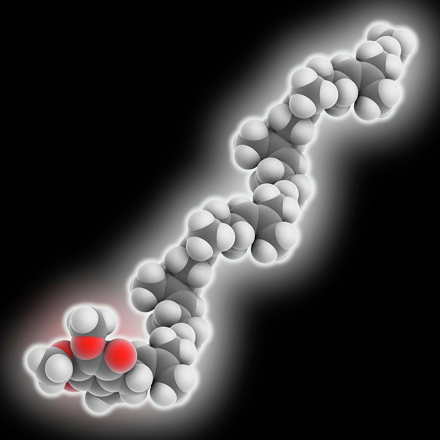 Coenzyme Q Molecule Photograph By Laguna Design Science Photo Library Fine Art America