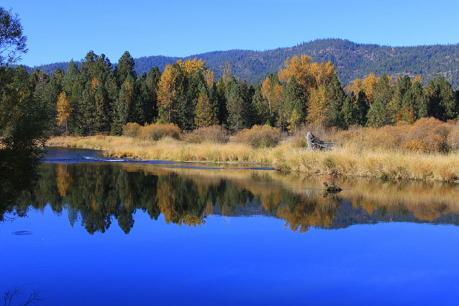 Coeur d'Alene River Photograph by Dorothy Hall - Pixels