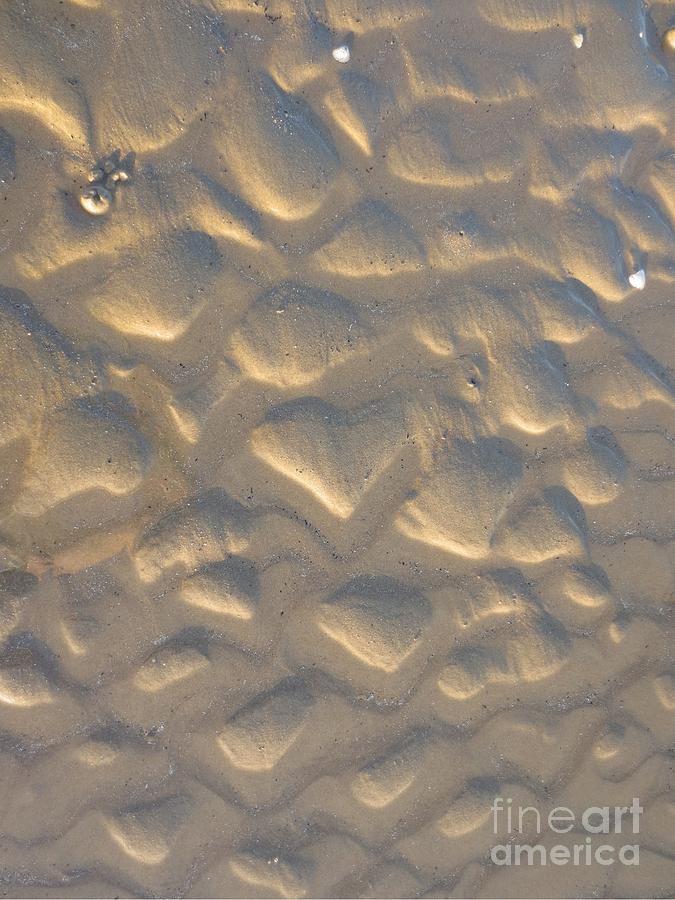 Nature Photograph - Sand Heart by Dominique Fortier