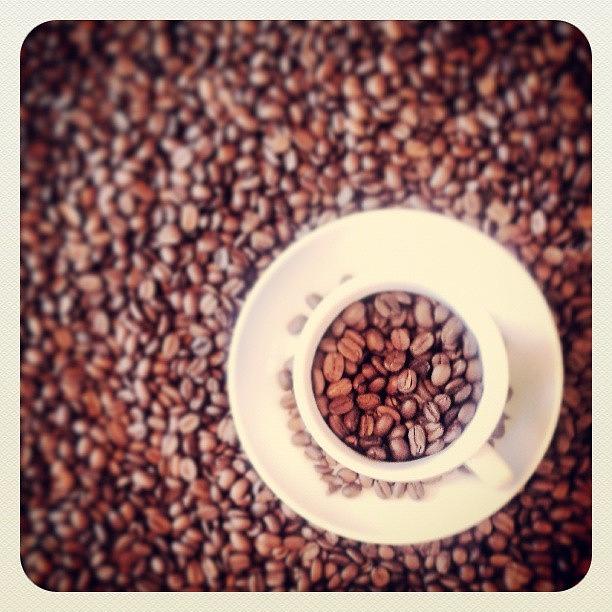 Coffee Photograph - Coffe Pause by Raimond Klavins