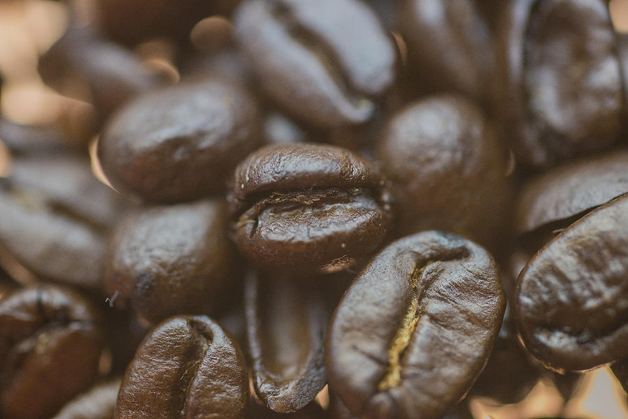 Coffee Bean Macro Photograph by David Haskett II