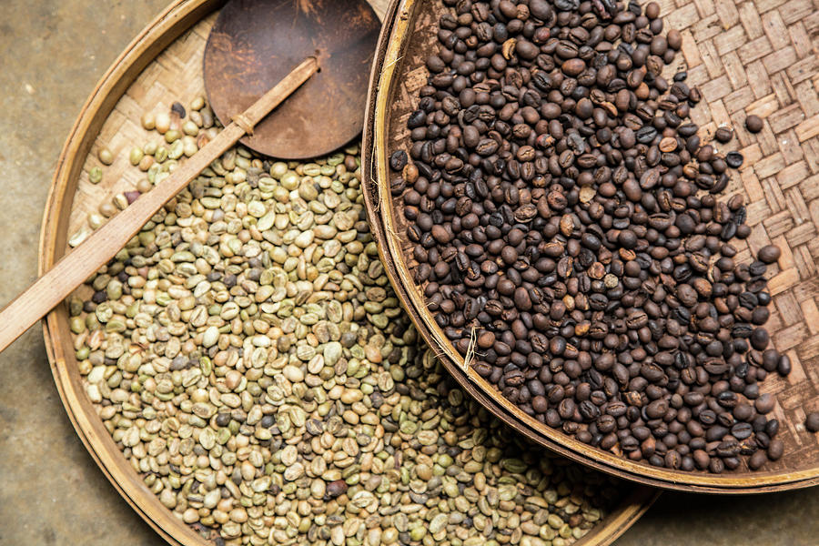 Coffee Beans At A Coffee Plantation by Peter Stuckings