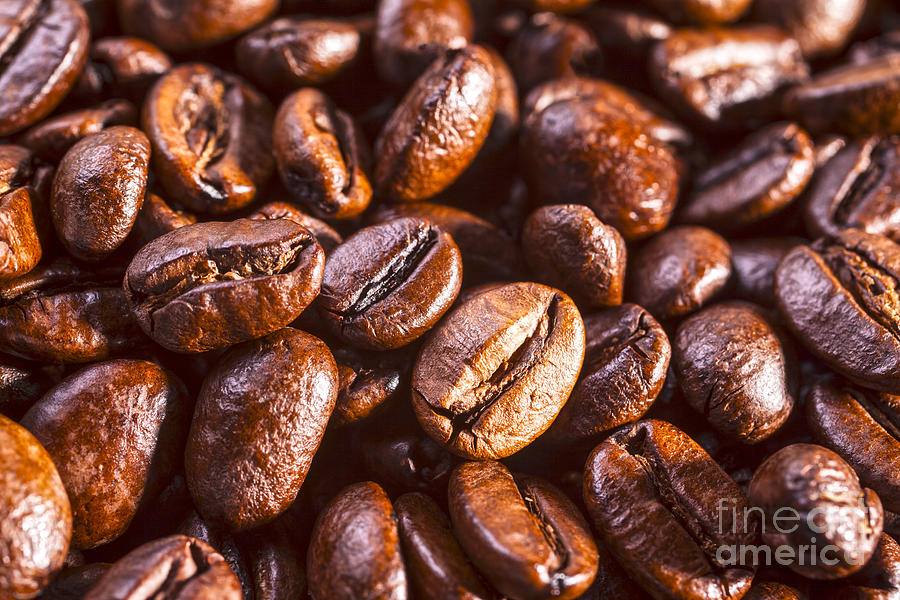 Coffee Beans Close-up Photograph by Colin and Linda McKie