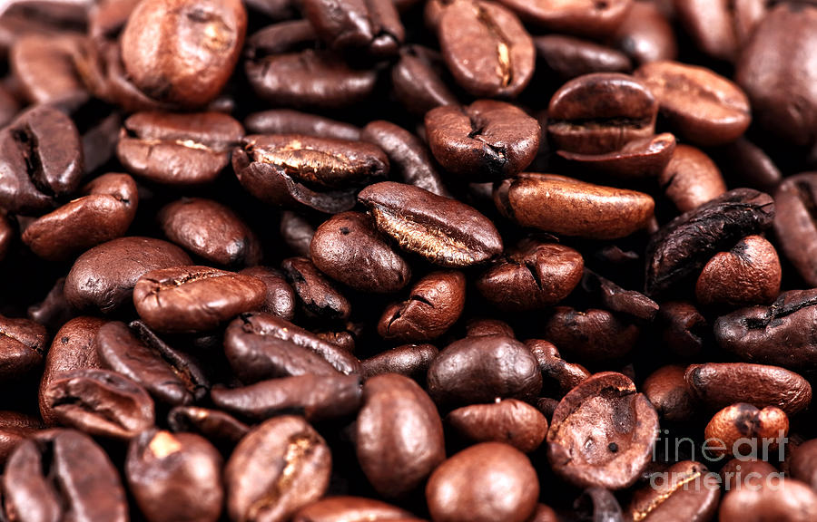 Coffee Beans Photograph by John Rizzuto