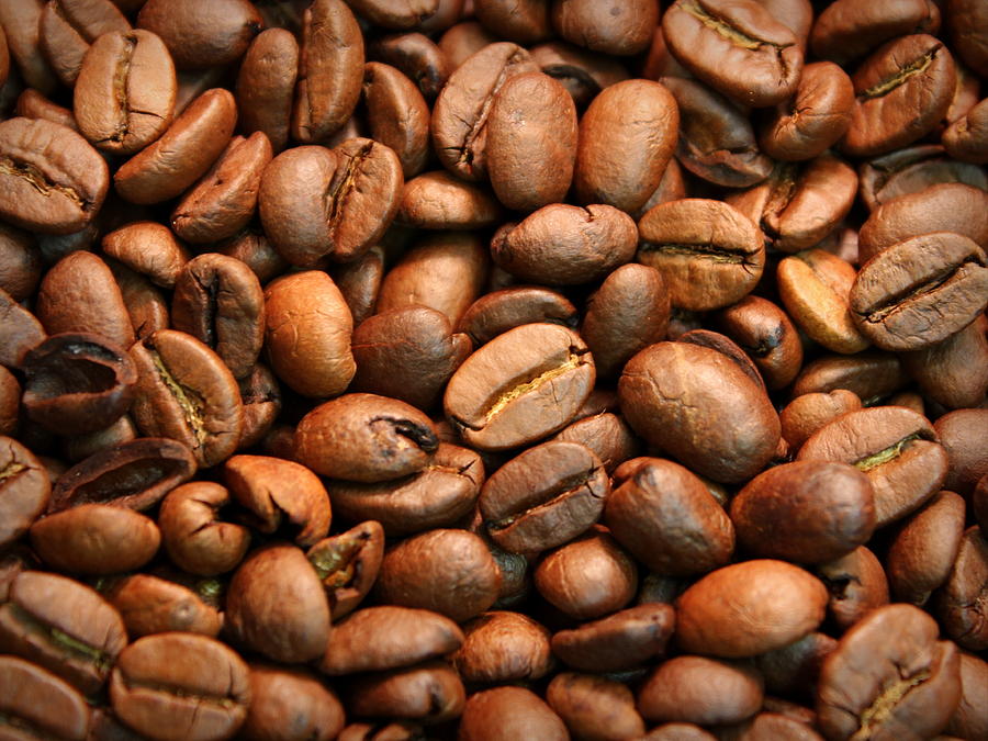 Coffee Beans Photograph by Joseph Skompski