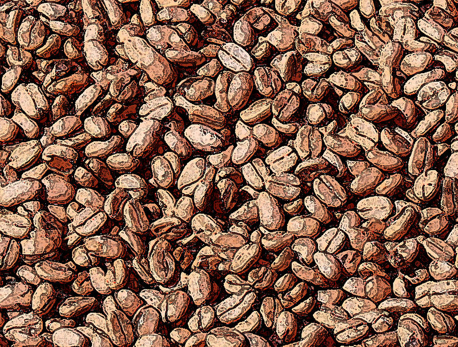 Coffee Beans Photograph by Lorraine Baum