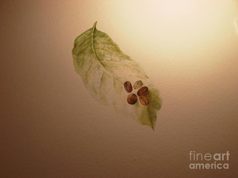 Coffee Beans on Coffea arabica leaf Painting by Laura Hamill