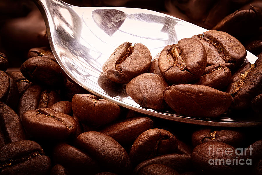 Coffee beans on spoon Photograph by Simon Bratt