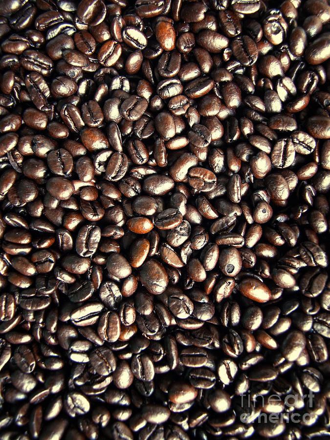 Coffee Photograph - Coffee Beans by Philip G