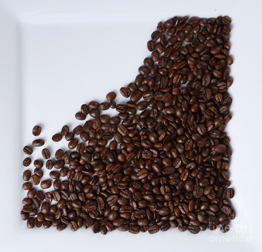 Coffee Beans Photograph by Photo Researchers, Inc.