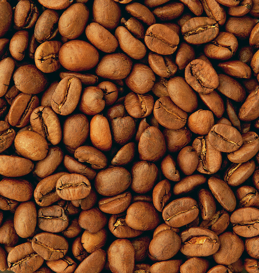 Coffee Beans Photograph by Thanasis Zovoilis
