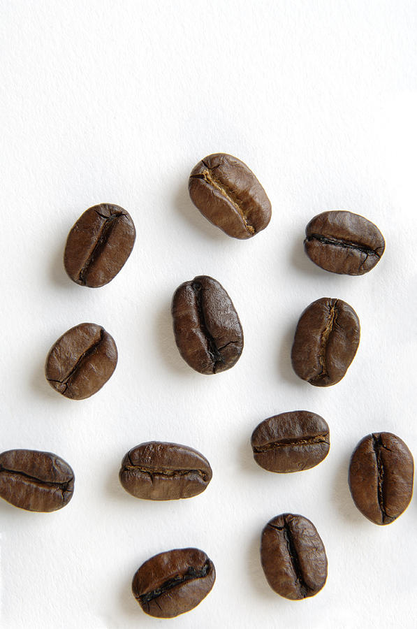 Coffee Beans Photograph by WillSelarep