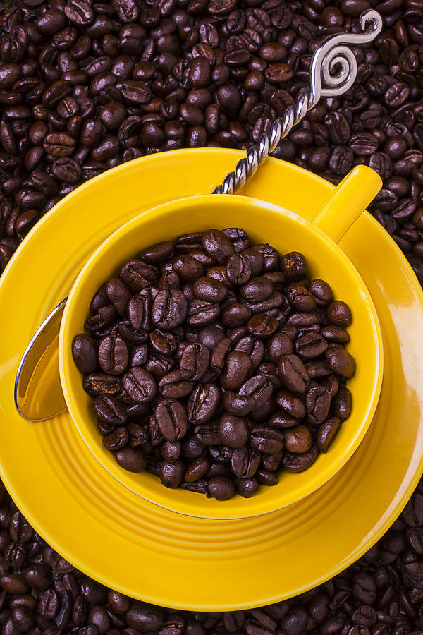 Coffee Cup Filled With Beans Photograph by Garry Gay