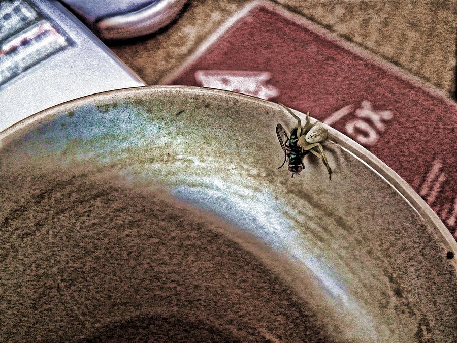 Coffee Cup Spider Fly Oh MY Digital Art by Robert Rhoads