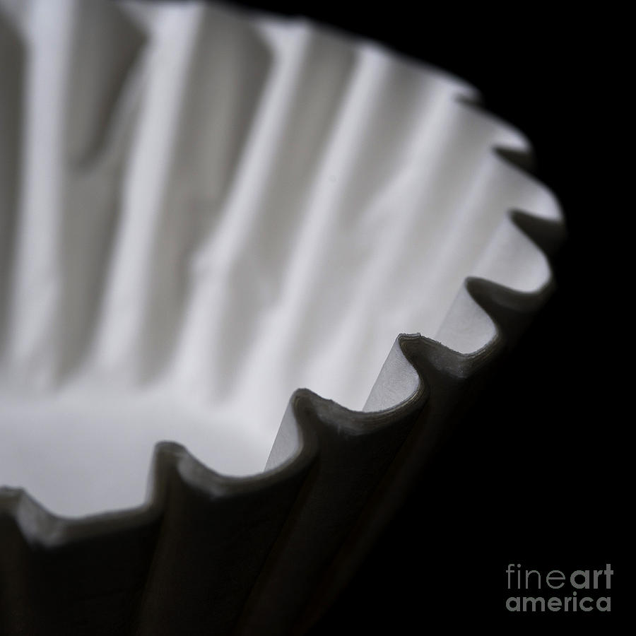 Coffee Filters Photograph by Art Whitton