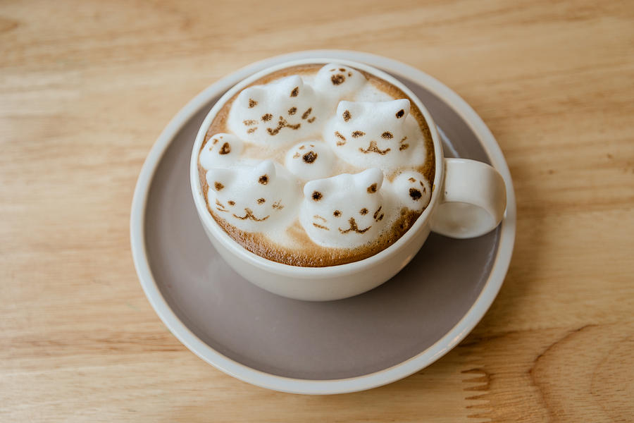 Coffee latte art 3D CATS Photograph by Thebang