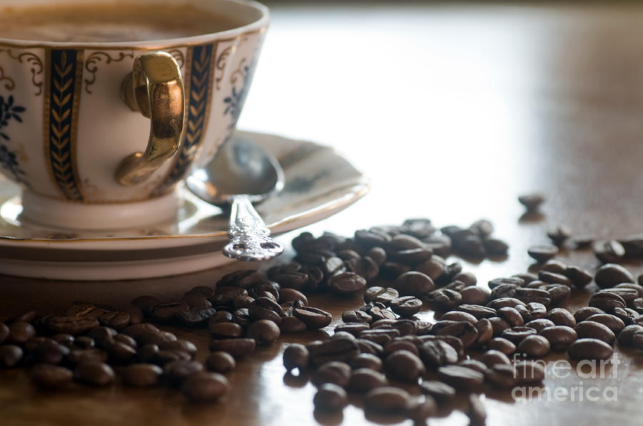 Coffee seeds Photograph by Michal Bednarek