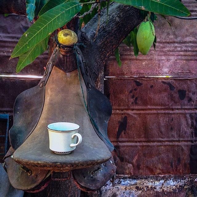 Displacement Photograph - Coffee Table Under A Mango Tree. Wayuu by Melisa Cardona