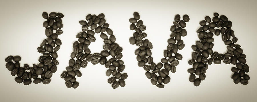 Coffee Time - JAVA Beans Photograph by Erin Cadigan
