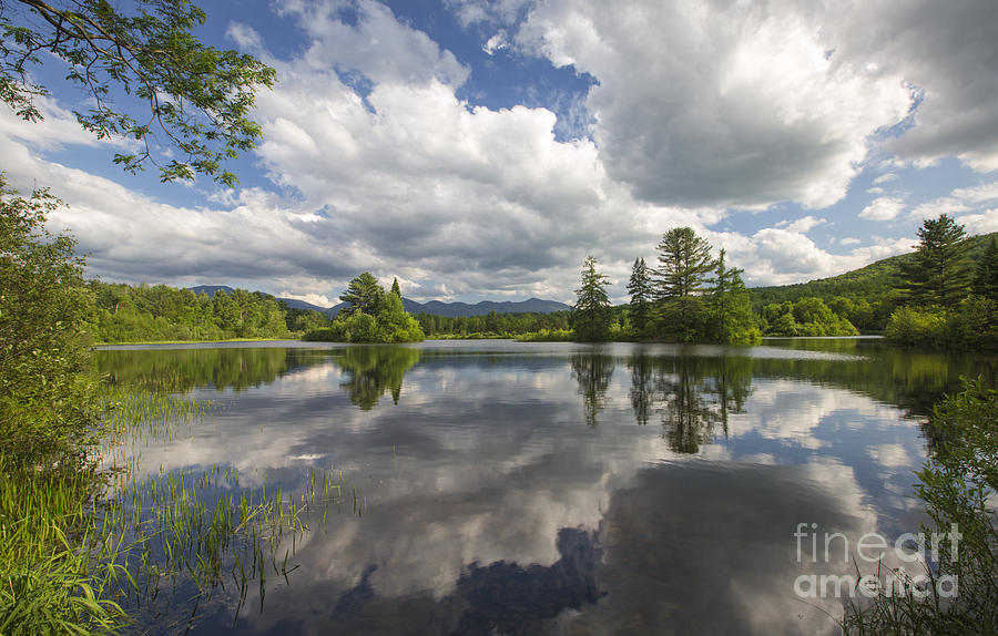 Coffin Pond - Sugar Hill New Hampshire Photograph by Erin Paul Donovan