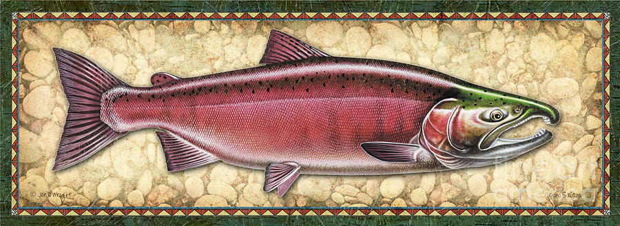 Coho Salmon Spawning Panel Painting by JQ Licensing