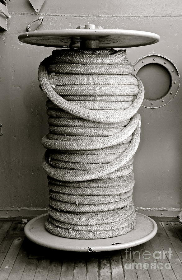 Coiled  Photograph by Suzanne Oesterling