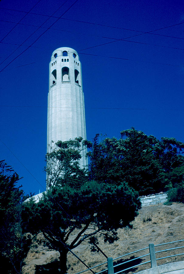Coit Tower Photograph - Coit Tower 1955 by Cumberland Warden