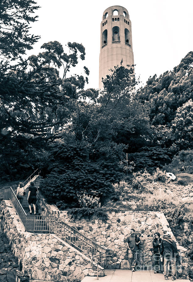 Coit Tower in two tones Photograph by Kate Brown