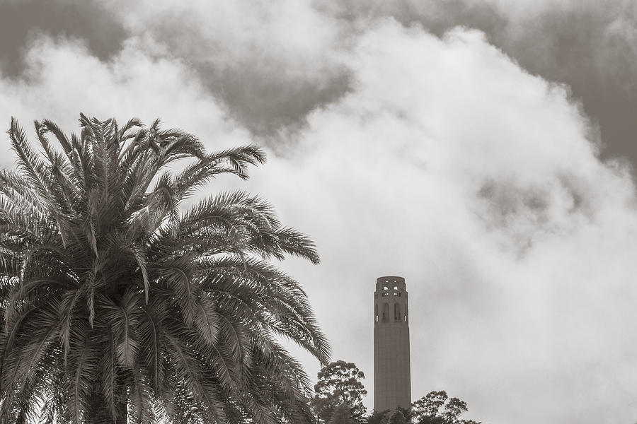 Coit Tower  Photograph by John McGraw