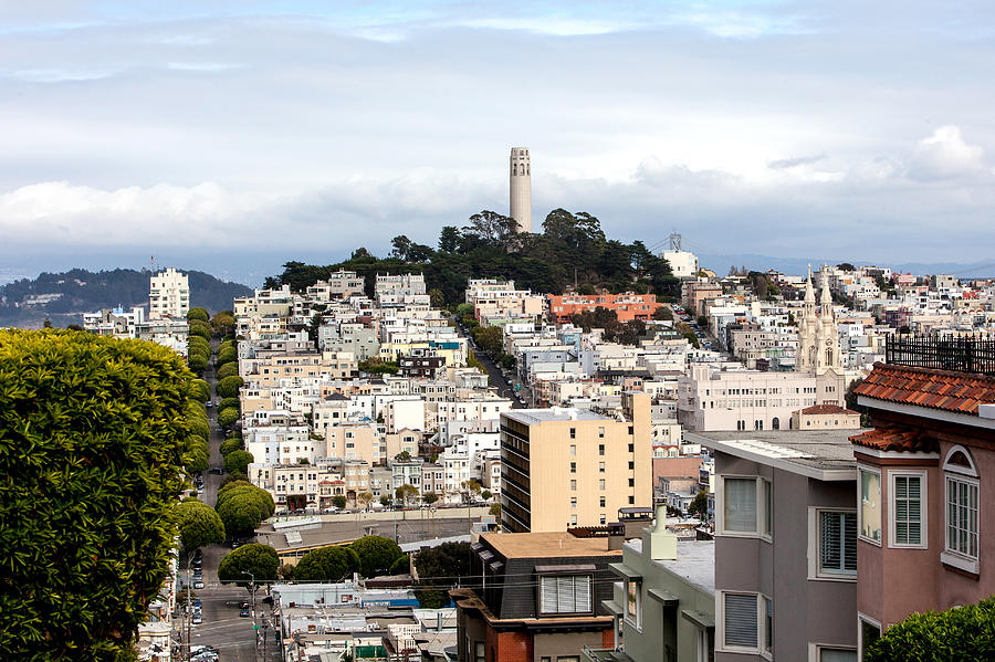 Coit Tower San Francisco Photograph by Art Block Collections